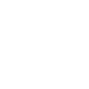 Client Large Logo